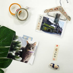 O-CAT不理貓 台灣直送 來玩紙膠帶 - 五款可選