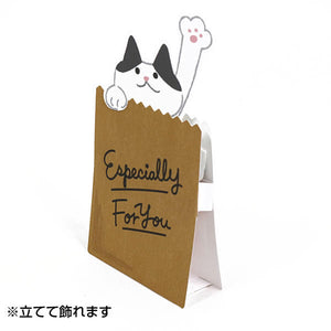 Sanrio 正版授權「驚喜紙袋裡跳出來的貓咪」立體生日賀卡