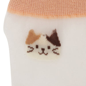 【預訂】Fuku Fuku Nyanko 日本正版 貓咪透視玻璃中筒襪 - 五款可選
