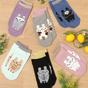 Fuku Fuku Nyanko 日本正版 貓咪涼感抗菌除臭雙色短襪 - 六款可選