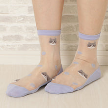 將圖片載入圖庫檢視器 【預訂】Fuku Fuku Nyanko 日本正版 貓咪透視玻璃中筒襪 - 五款可選
