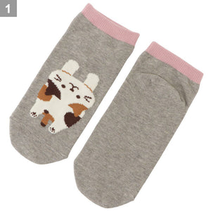 Fuku Fuku Nyanko 日本正版 貓咪涼感抗菌除臭雙色短襪 - 六款可選