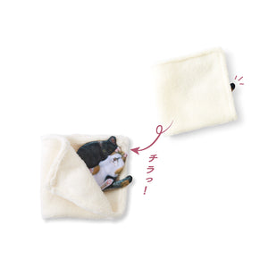Felissimo 貓部 日本正版 發現貓踪! 在毛毯中熟睡的手帕 - 四款可選