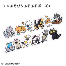 將圖片載入圖庫檢視器 【預訂】 Felissimo 貓部 日本製 與插畫家995老師合作 可愛貓咪插圖貼紙膠帶 - 四款可選
