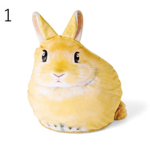 將圖片載入圖庫檢視器 Felissimo YOU+MORE! 日本正版 悠然自得 兔子的柔軟抱枕 - 四款可選
