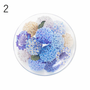 Felissimo YOU+MORE! 日本製正版 輕飄花手水 繡球花的玻璃碟 - 三款可選