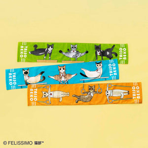 【預訂】  Felissimo貓部  日本正版 漫畫家山野玲玲老師 身體柔軟體操貓的滿分運動毛巾 - 三款可選