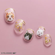 將圖片載入圖庫檢視器 Felissimo貓部 x 人氣美甲師Aoikoga 日本製 筆觸細膩的貓咪美甲貼系列 - 四款可選
