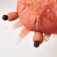 將圖片載入圖庫檢視器 【預訂】 Felissimo YOU+MORE! 日本正版 脫殼的蜘蛛蟹玩偶公仔
