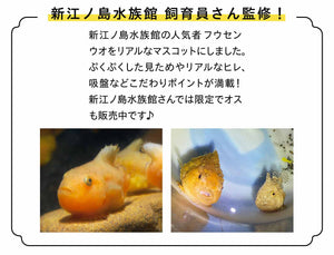 【預訂】 Felissimo YOU+MORE! 日本正版 圓滾滾獅子魚造型布偶公仔吊飾〈雌性〉