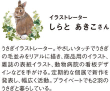 將圖片載入圖庫檢視器 【預訂】 Felissimo YOU+MORE! 日本製 療癒的下午茶會 花草與兔子杯盤組 - 四款可選
