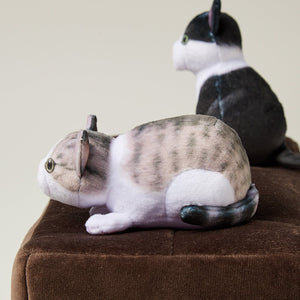 【預訂】Felissimo 貓部 日本正版 小貓玩捉迷藏面紙巾盒套