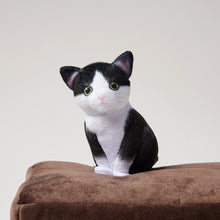 將圖片載入圖庫檢視器 【預訂】Felissimo 貓部 日本正版 小貓玩捉迷藏面紙巾盒套
