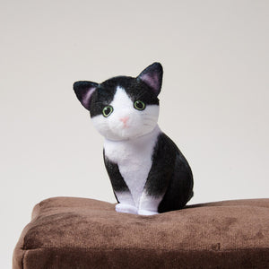 【預訂】Felissimo 貓部 日本正版 小貓玩捉迷藏面紙巾盒套