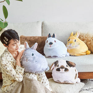 Felissimo YOU+MORE! 日本正版 悠然自得 兔子的柔軟抱枕 - 四款可選