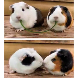 【預訂】Felissimo YOU+MORE! 日本正版 吃草吃到親嘴的2隻天竺鼠造型束繩袋