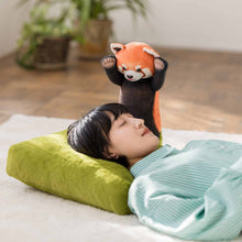 將圖片載入圖庫檢視器 Felissimo YOU+MORE! 日本正版 被小熊貓威嚇的午睡用抱枕
