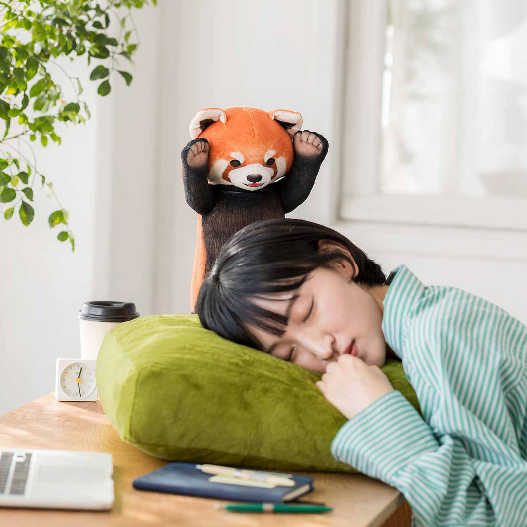 Felissimo YOU+MORE! 日本正版 被小熊貓威嚇的午睡用抱枕