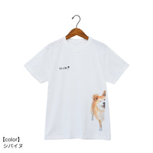 將圖片載入圖庫檢視器 TOMO CORPORATION 日本直送 原創Peek-a-boo 偷望的柴犬白色T恤（ S Size）
