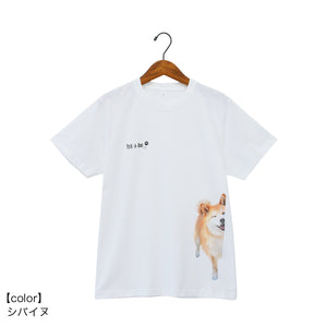 TOMO CORPORATION 日本直送 原創Peek-a-boo 偷望的柴犬白色T恤（ S Size）