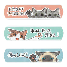 將圖片載入圖庫檢視器 Felissimo貓部 X 漫畫家山野林麟  日本製「突然給貓打了拳！」膠布套裝 Vol. 3
