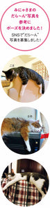 Felissimo貓部 日本正版 抱緊雨傘~貓咪雨傘柄裝飾 - 六款可選