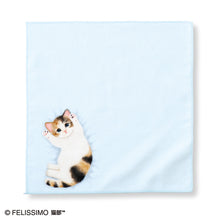 將圖片載入圖庫檢視器 Felissimo貓部 日本正版 肚子朝天的小貓毛巾手帕系列 - 四款可選
