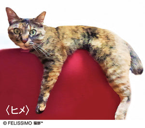 【預訂】Felissimo 貓部 日本正版 懶在毛巾架貓咪毛巾 - 三款可選