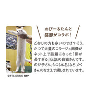 將圖片載入圖庫檢視器 Felissimo貓部 日本正版 與身體超~長的人氣貓咪「伸長子のび子」合作! 超~長白貓毛巾

