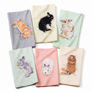 【預訂】 Felissimo YOU+MORE! 日本正版 睡著的小兔全棉毛巾 - 六款可選
